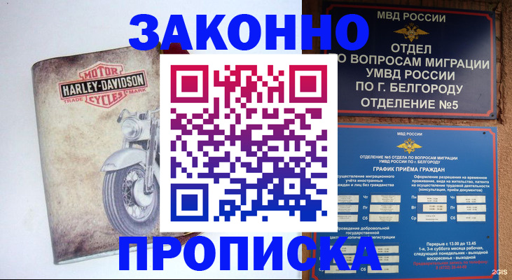 прописка для школы в Ефремове
